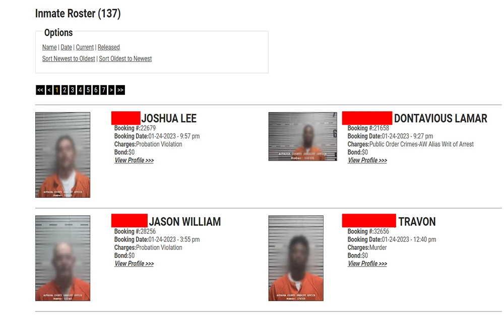 Free Alabama Criminal Arrest Records Search All Counties In AL   Autauga County Sherrif Office Inmates Roster Screenshot.webp