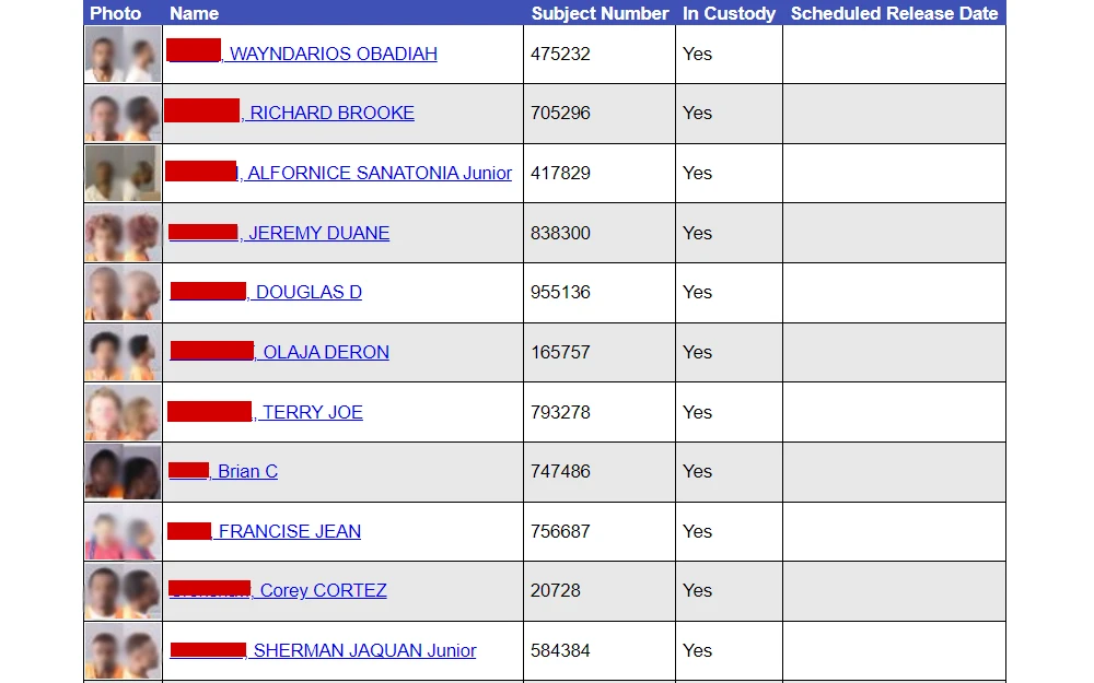 Screenshot of a part of the jail search results showing columns for full name, subject number, custody status, and scheduled release date. 
